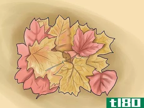 Image titled Create a Fall Wreath Step 2