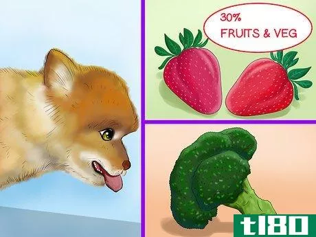 Image titled Choose All Natural Pet Food for Pomeranians Step 2