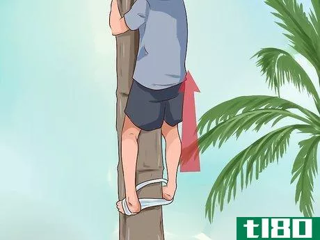 Image titled Climb a Coconut Tree Step 8