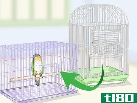 Image titled Clean a Caique Parrot Cage Step 6