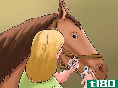 Image titled Give Horses Liquid Medications Step 8