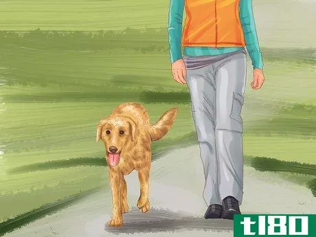 Image titled Choose a Good Hiking Dog Step 9