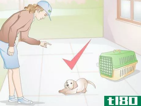 Image titled Crate Train a Small Dog Step 13