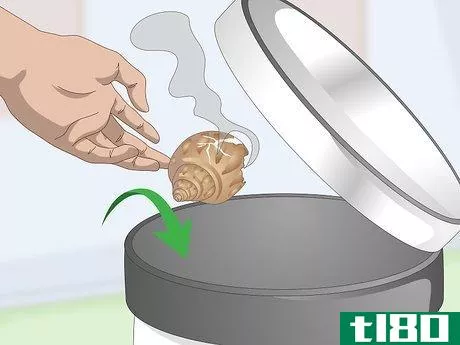 Image titled Clean a Sea Shell (for Hermit Crabs) Step 3