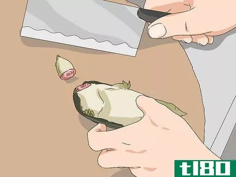 如何烹饪前先把软壳龟清洗干净(clean a soft shell turtle before cooking)