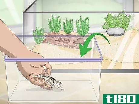 Image titled Clean and Reuse Reptile Substrate_Sand Step 1