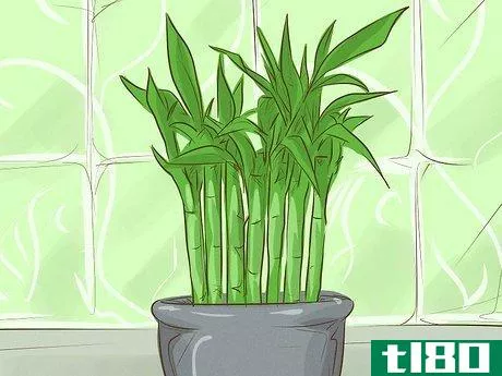 Image titled Choose Houseplants for the Bathroom Step 4