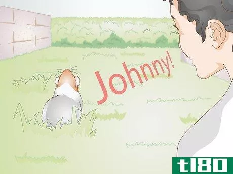 Image titled Choose Your Guinea Pig's Name Step 7