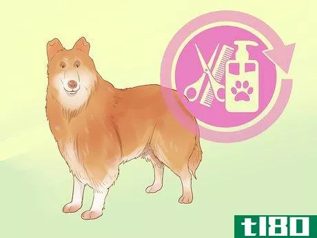Image titled Choose a Dog Step 10