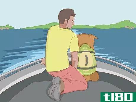 Image titled Choose the Right Life Jacket for Your Dog Step 14