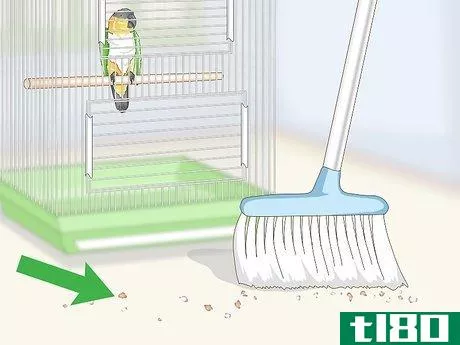 Image titled Clean a Caique Parrot Cage Step 4