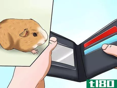 Image titled Convince Your Parents to Buy You a Guinea Pig Step 8