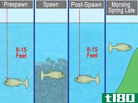 Image titled Choose Lures for Bass Fishing Step 2