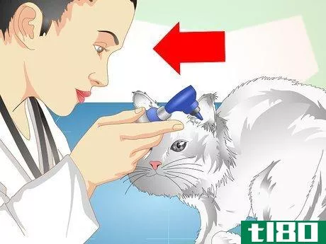 Image titled Check Cats for Ear Mites Step 5