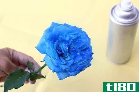 Image titled Create Blue Roses Step 18