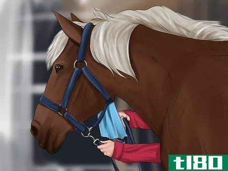 Image titled Choose a Horse for Therapeutic Riding Step 1
