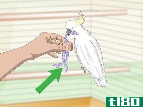Image titled Choose a Cage for a Cockatoo Step 9