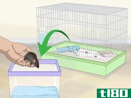 Image titled Clean a Mouse Cage Step 4