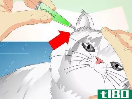 Image titled Check Cats for Ear Mites Step 7