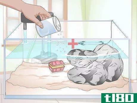 Image titled Clean a Turtle Tank Step 15