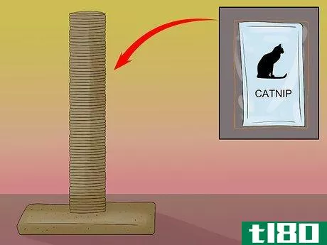 Image titled Choose a Scratching Post or Pad for Your Cat Step 17