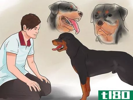 如何检查你的狗是否健康快乐(check if your dog is healthy and happy)