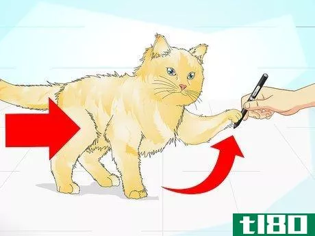 Image titled Clicker Train a Cat Step 16