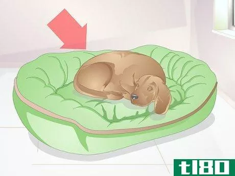 Image titled Choose a Place for Your Dog to Sleep Step 1