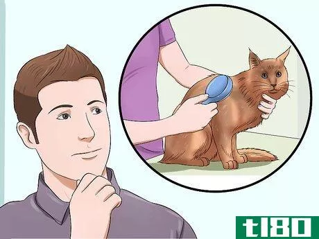 Image titled Prevent Matted Cat Hair Step 1