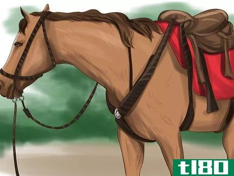 Image titled Choose a Horse for Therapeutic Riding Step 8
