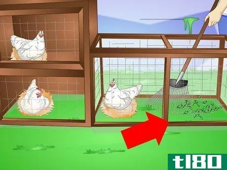 如何收集鸡蛋(collect chicken eggs)