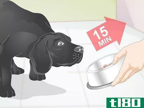 Image titled Create a Feeding Routine for Your Dog Step 3