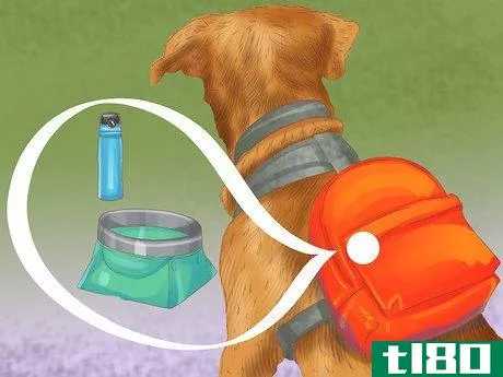 Image titled Choose a Good Hiking Dog Step 10