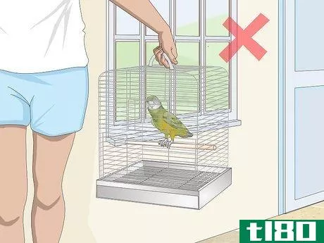 Image titled Deal with a Fearful or Stressed Senegal Parrot Step 1