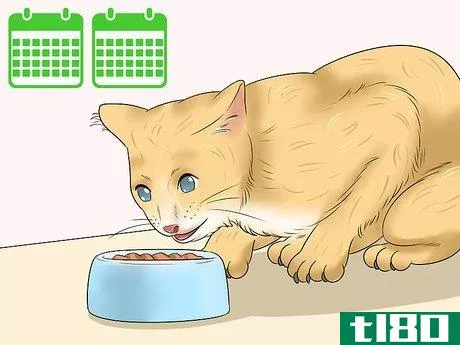 Image titled Deal with Cat Food Allergies Step 5