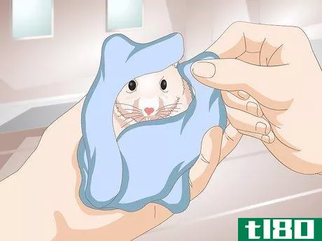 Image titled Clean a Long Haired Hamster Step 8