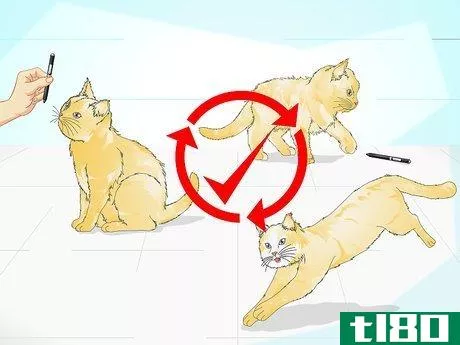 Image titled Clicker Train a Cat Step 21