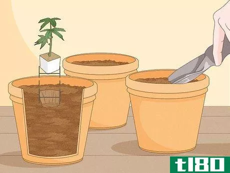 Image titled Clone Cannabis Step 11