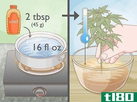 Image titled Clone a Marijuana Plant Without Rooting Hormone Step 5