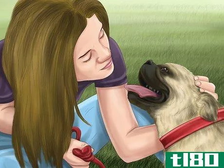 Image titled Comfort Your Dog Step 12