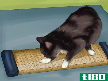 Image titled Choose a Scratching Post or Pad for Your Cat Step 3