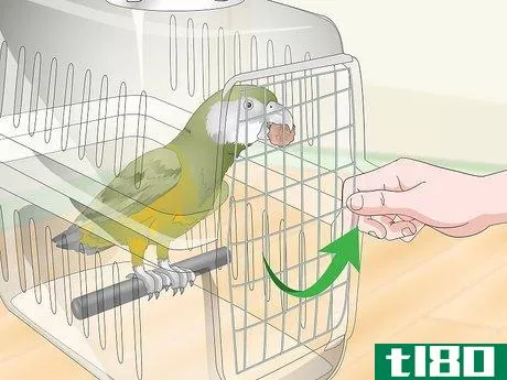 Image titled Deal with a Fearful or Stressed Senegal Parrot Step 18