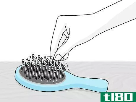 如何用鬃毛刷清洁头发(clean a bristled hairbrush)