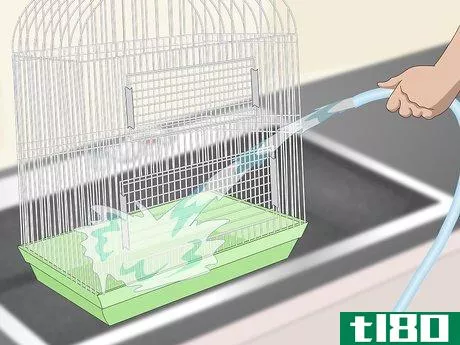 Image titled Clean a Caique Parrot Cage Step 8