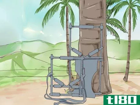 Image titled Climb a Coconut Tree Step 13