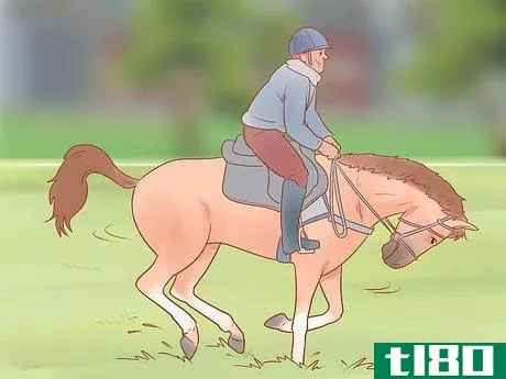 Image titled Choose a Riding Style or Equestrian Discipline Step 14