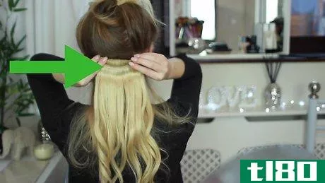Image titled Create a High Ponytail Using Clip in Hair Extensions Step 2