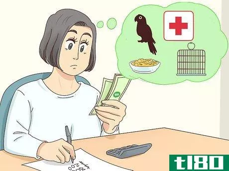 Image titled Choose a Caique Parrot Step 7