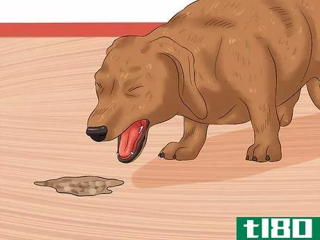 Image titled Cure Frequent Dog Vomiting Step 3