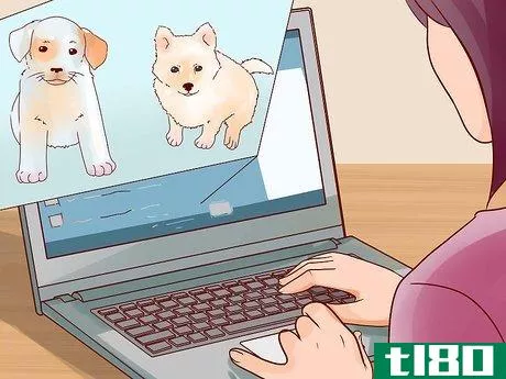 Image titled Convince Your Parents to Let You Get a Small Dog Step 1